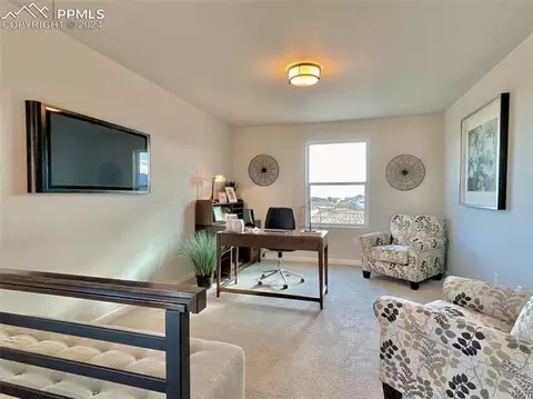 17617 Lemon Rye Loop, Monument, CO 80132 photo 10