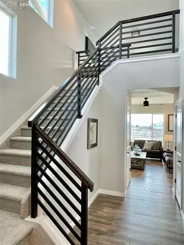 17617 Lemon Rye Loop, Monument, CO 80132 photo 12