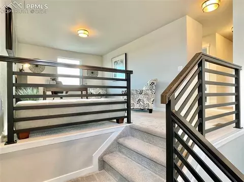 17617 Lemon Rye Loop, Monument, CO 80132 photo 9