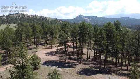 11042 County Road 1, Florissant, CO 80816