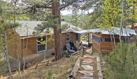226 Hall Rd, Bailey, CO 80421