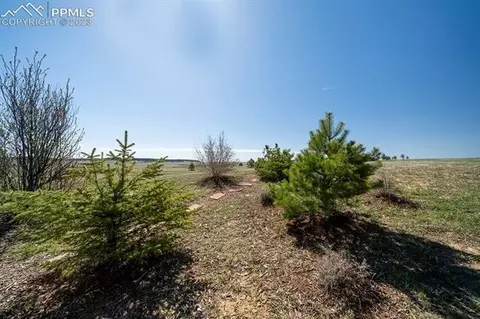 13615 Mccune Rd, Elbert, CO 80106 photo 11