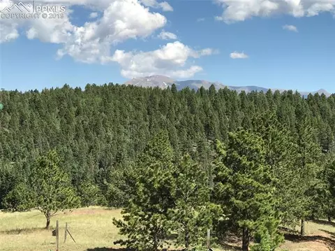 4185 Cedar Mountain Rd, Divide, CO 80814 photo 3