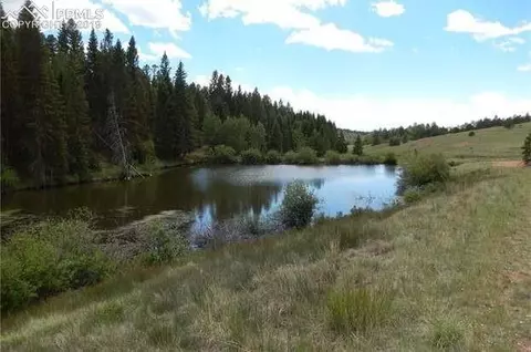 4185 Cedar Mountain Rd, Divide, CO 80814 photo 2