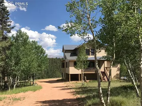 4185 Cedar Mountain Rd, Divide, CO 80814 photo 9