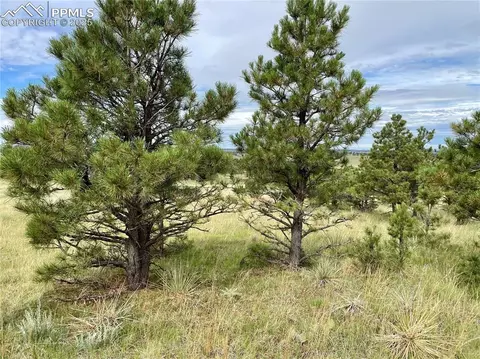 31963 Cattle Cir, Ramah, CO 80832