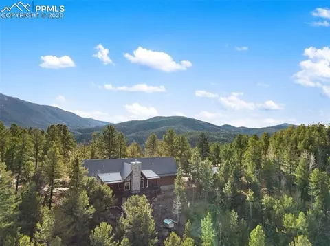 111 Blue Spruce Rd, Divide, CO 80814 photo 3