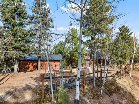111 Blue Spruce Rd, Divide, CO 80814 photo 45