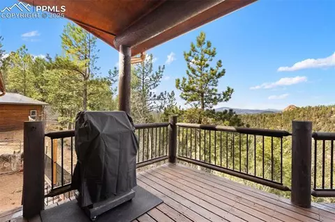 111 Blue Spruce Rd, Divide, CO 80814 photo 37