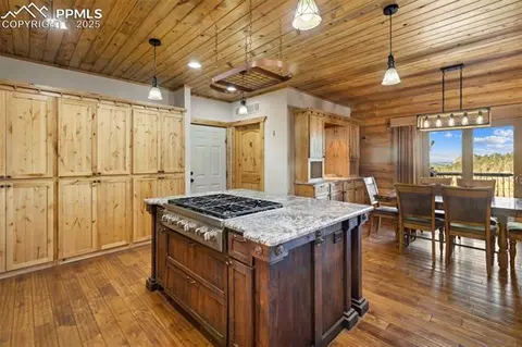 111 Blue Spruce Rd, Divide, CO 80814 photo 18