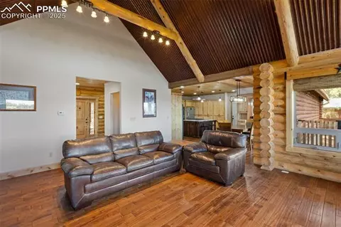 111 Blue Spruce Rd, Divide, CO 80814 photo 14