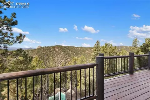 111 Blue Spruce Rd, Divide, CO 80814 photo 35
