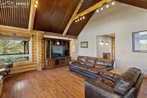 111 Blue Spruce Rd, Divide, CO 80814 photo 13
