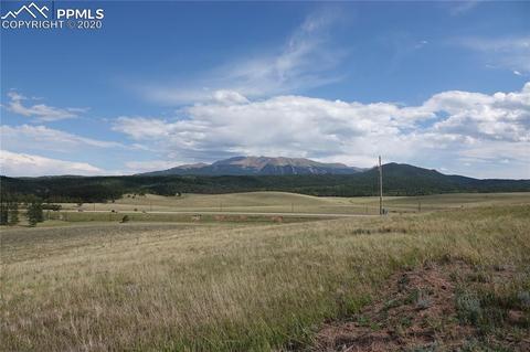 254 County Road 25, Divide, CO 80814 photo 1