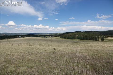 254 County Road 25, Divide, CO 80814 photo 5