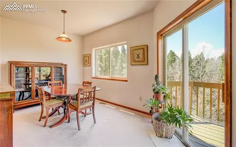 93 Cherry Lake Dr, Divide, CO 80814 photo 7