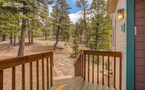 93 Cherry Lake Dr, Divide, CO 80814 photo 25