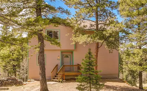 93 Cherry Lake Dr, Divide, CO 80814 photo 1