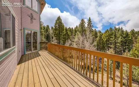 93 Cherry Lake Dr, Divide, CO 80814 photo 23