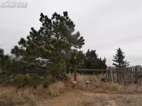 32775 Truckton Rd, Yoder, CO 80864 photo 3