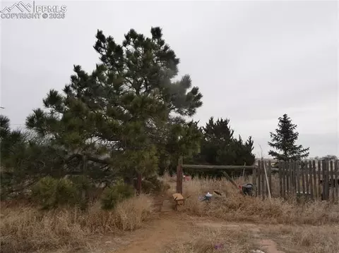 32775 Truckton Rd, Yoder, CO 80864 photo 3