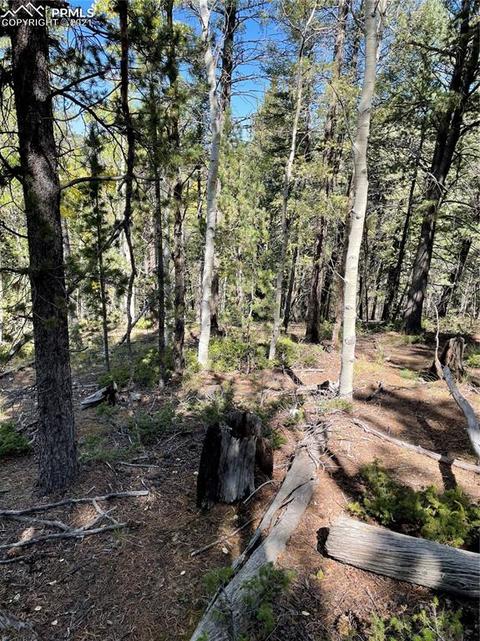 833 Calcite Dr, Divide, CO 80814 photo 5