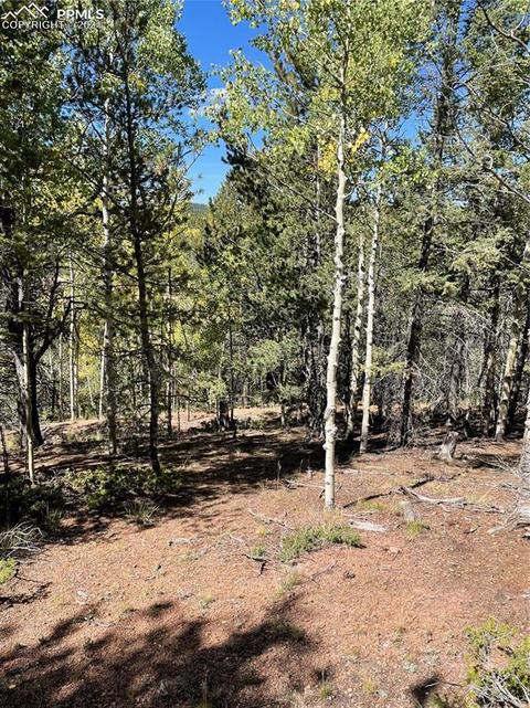 833 Calcite Dr, Divide, CO 80814 photo 2