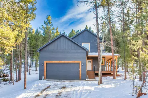 665 Bradford Dr, Woodland Park, CO 80863