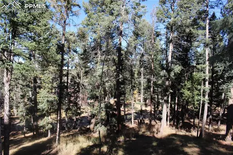 413 Will Stutley Dr, Divide, CO 80814 photo 14
