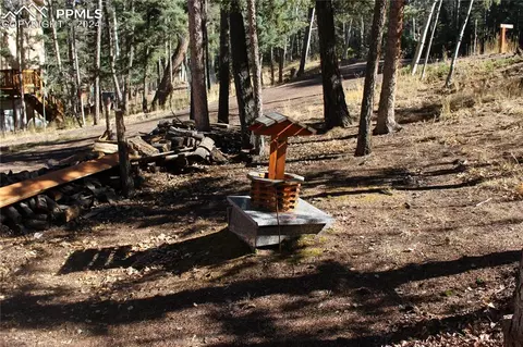 413 Will Stutley Dr, Divide, CO 80814 photo 19