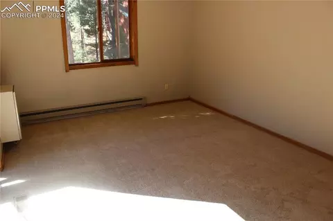 413 Will Stutley Dr, Divide, CO 80814 photo 8
