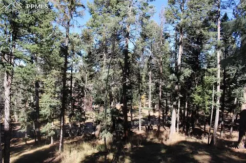 413 Will Stutley Dr, Divide, CO 80814 photo 14
