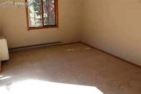 413 Will Stutley Dr, Divide, CO 80814 photo 8