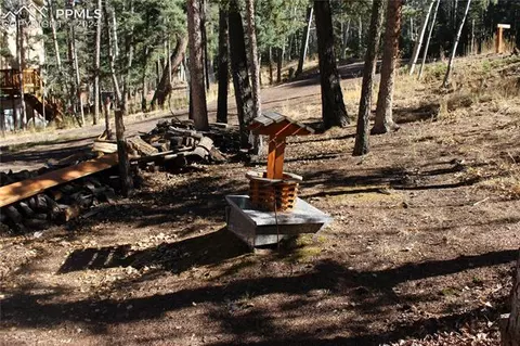 413 Will Stutley Dr, Divide, CO 80814 photo 19