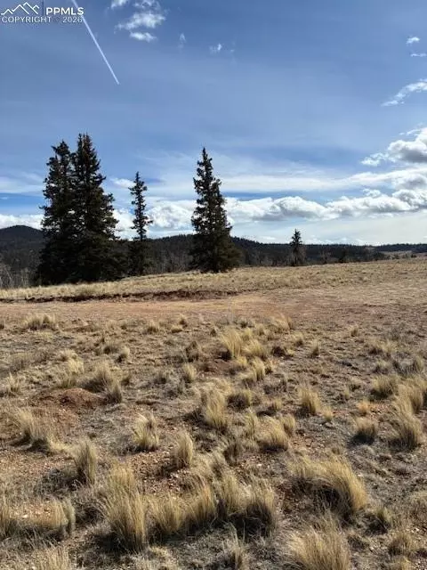 828 Gitche Goone Ln, Jefferson, CO 80456