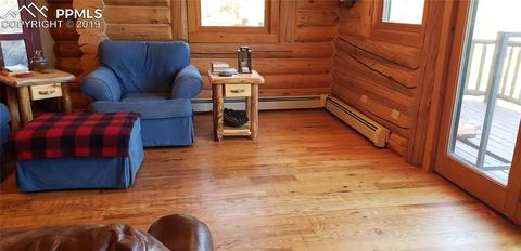 9110 Mountain Rd, Cascade, CO 80809 photo 22