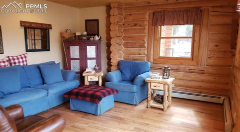 9110 Mountain Rd, Cascade, CO 80809 photo 9