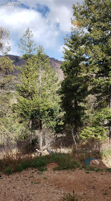 9110 Mountain Rd, Cascade, CO 80809 photo 39