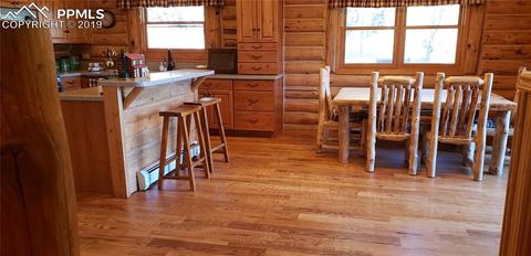9110 Mountain Rd, Cascade, CO 80809 photo 23