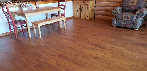 9110 Mountain Rd, Cascade, CO 80809 photo 25