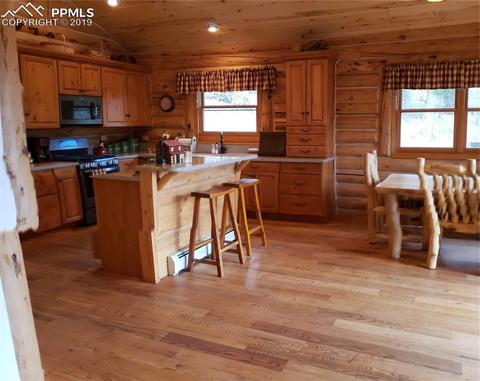 9110 Mountain Rd, Cascade, CO 80809 photo 11