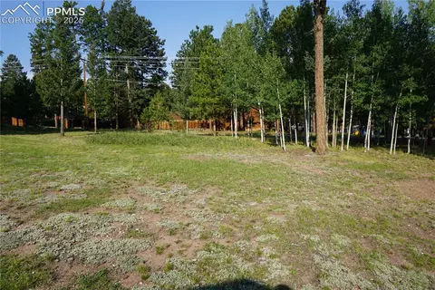 W Bowman Avenue, Woodland Park, CO 80863