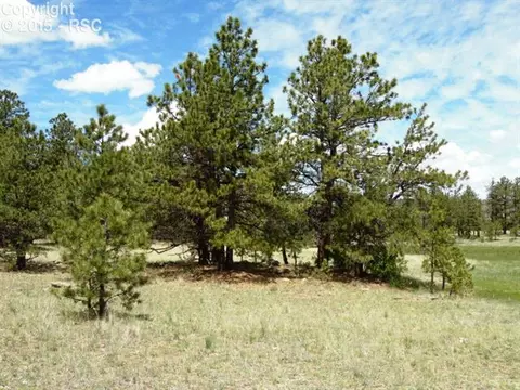 1170 Doe Valley Rd, Guffey, CO 80820 photo 6