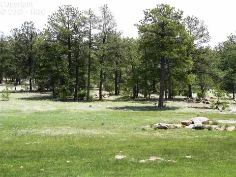 1170 Doe Valley Rd, Guffey, CO 80820 photo 10