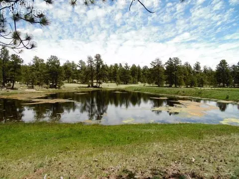1170 Doe Valley Rd, Guffey, CO 80820 photo 8