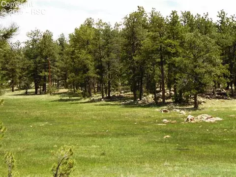 1170 Doe Valley Rd, Guffey, CO 80820 photo 9