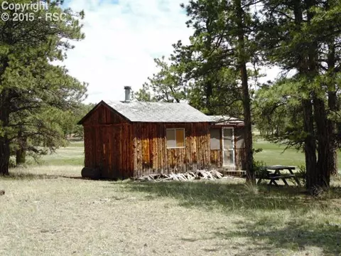 1170 Doe Valley Rd, Guffey, CO 80820 photo 3