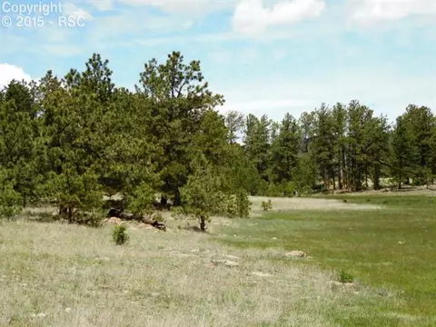 1170 Doe Valley Rd, Guffey, CO 80820 photo 11