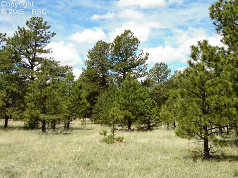 1170 Doe Valley Rd, Guffey, CO 80820 photo 13