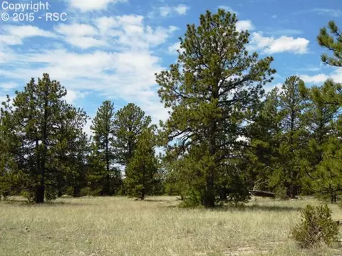 1170 Doe Valley Rd, Guffey, CO 80820 photo 5
